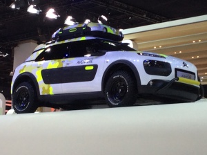 C4 Cactus Aventure